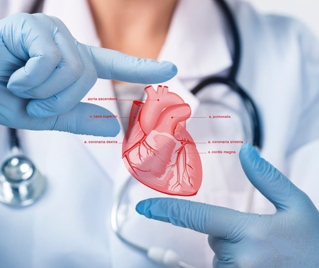 Cardio Surgery Supplies