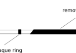 BiliarPlus®