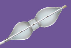Tyshak20Nucleus20-20purple-300×203-1