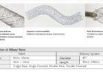 EGIS Biliary Stent
