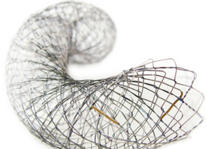 EGIS Biliary Stent RX System