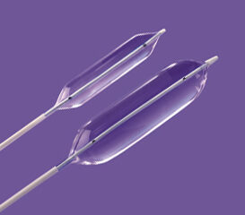 zmed-purple-copy